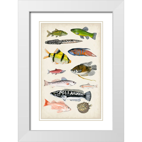 Antique Aquarium I White Modern Wood Framed Art Print with Double Matting by McCavitt, Naomi