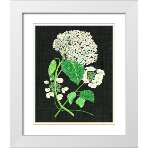 White Hydrangea Study II White Modern Wood Framed Art Print with Double Matting by Wang, Melissa