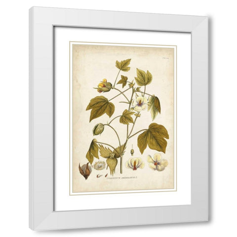 Elegant Botanical I White Modern Wood Framed Art Print with Double Matting by Plenk, J.J.