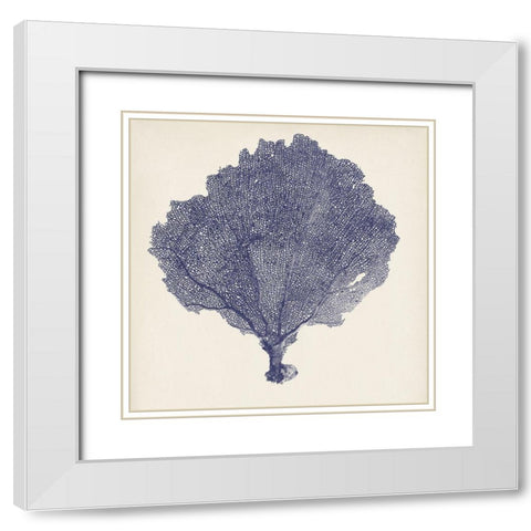 Indigo Seafan II A. White Modern Wood Framed Art Print with Double Matting by Vision Studio