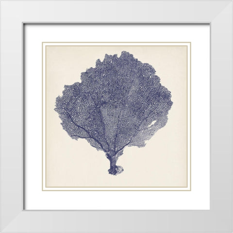Indigo Seafan II A. White Modern Wood Framed Art Print with Double Matting by Vision Studio