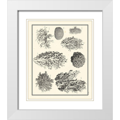 Small Aegean Collection IV White Modern Wood Framed Art Print with Double Matting by Vision Studio