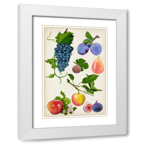 Fruit Collection II White Modern Wood Framed Art Print with Double Matting by McCavitt, Naomi