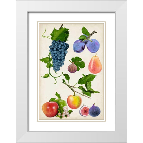 Fruit Collection II White Modern Wood Framed Art Print with Double Matting by McCavitt, Naomi