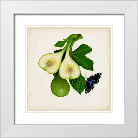 Fruit with Butterflies III White Modern Wood Framed Art Print with Double Matting by McCavitt, Naomi