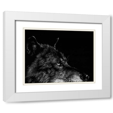 Scratchboard Wolf I White Modern Wood Framed Art Print with Double Matting by Chapman, Julie T.