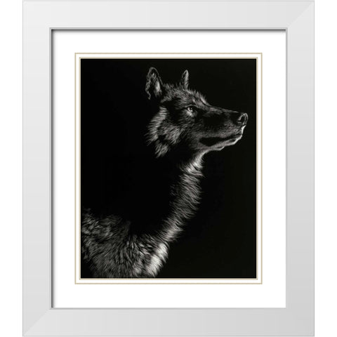 Scratchboard Wolf II White Modern Wood Framed Art Print with Double Matting by Chapman, Julie T.
