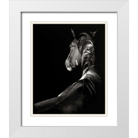 Scratchboard Sunstruck White Modern Wood Framed Art Print with Double Matting by Chapman, Julie T.