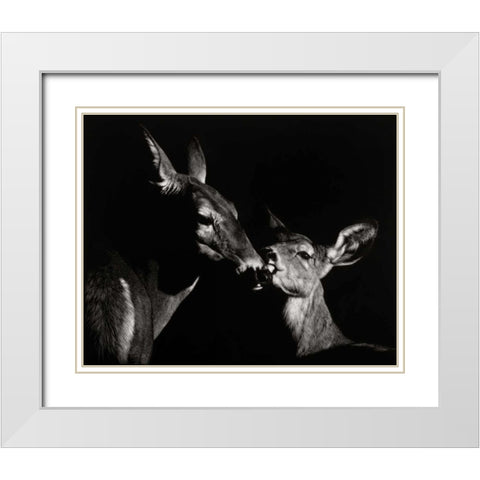 Scratchboard Mother Love #2 White Modern Wood Framed Art Print with Double Matting by Chapman, Julie T.