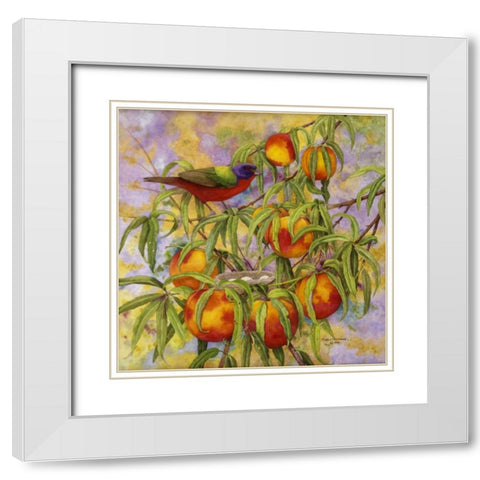Painted Bunting and Peaches White Modern Wood Framed Art Print with Double Matting by Matcham, Marcia
