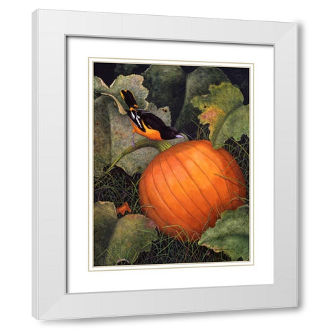 Oriole and Pumpkin White Modern Wood Framed Art Print with Double Matting by Matcham, Marcia