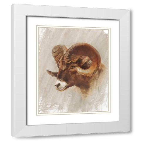 Western American Animal Study I White Modern Wood Framed Art Print with Double Matting by Harper, Ethan