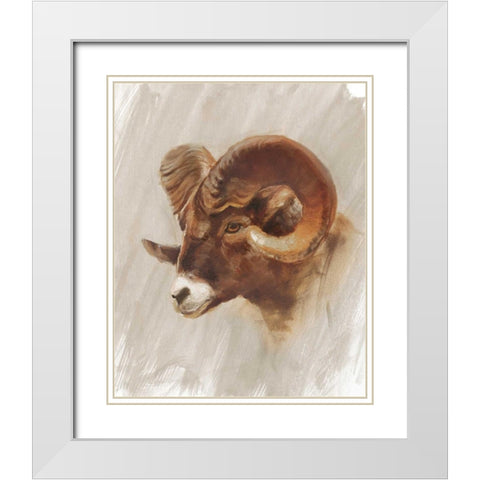 Western American Animal Study I White Modern Wood Framed Art Print with Double Matting by Harper, Ethan