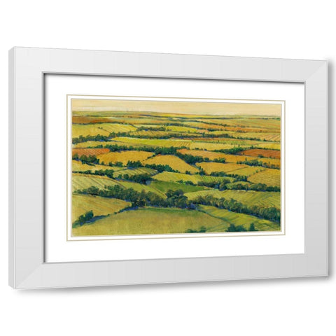 A View Above I White Modern Wood Framed Art Print with Double Matting by OToole, Tim