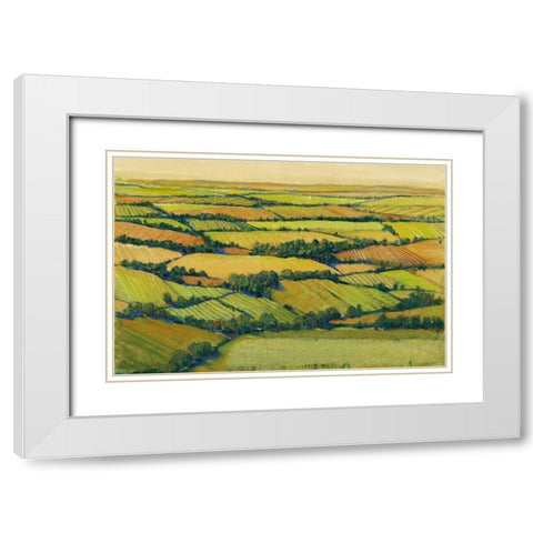 A View Above II White Modern Wood Framed Art Print with Double Matting by OToole, Tim