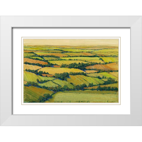 A View Above II White Modern Wood Framed Art Print with Double Matting by OToole, Tim