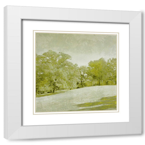 Beryl Landscape  II White Modern Wood Framed Art Print with Double Matting by Zarris, Chariklia