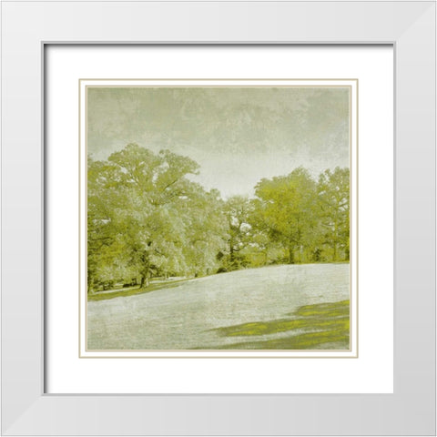 Beryl Landscape  II White Modern Wood Framed Art Print with Double Matting by Zarris, Chariklia