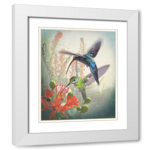 Hummingbird Cycle I White Modern Wood Framed Art Print with Double Matting by Quintero, Sonja