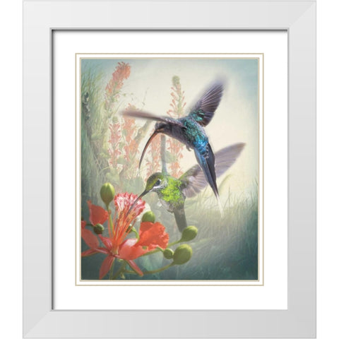 Hummingbird Cycle I White Modern Wood Framed Art Print with Double Matting by Quintero, Sonja