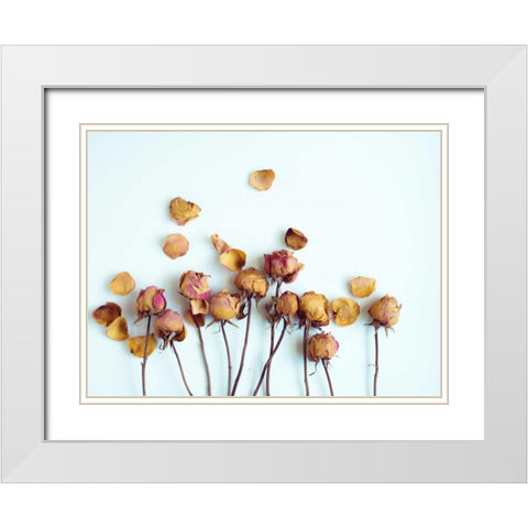 Golden Petals II White Modern Wood Framed Art Print with Double Matting by Quintero, Sonja