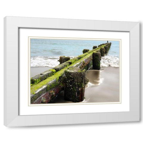 Scene Along the Water V White Modern Wood Framed Art Print with Double Matting by Miamee, Golie