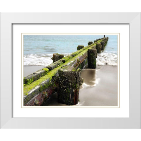 Scene Along the Water V White Modern Wood Framed Art Print with Double Matting by Miamee, Golie