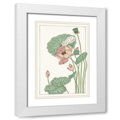 Botanical Gloriosa Lotus II White Modern Wood Framed Art Print with Double Matting by Wang, Melissa