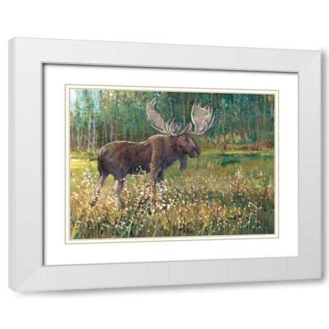 Moose in the Field White Modern Wood Framed Art Print with Double Matting by OToole, Tim
