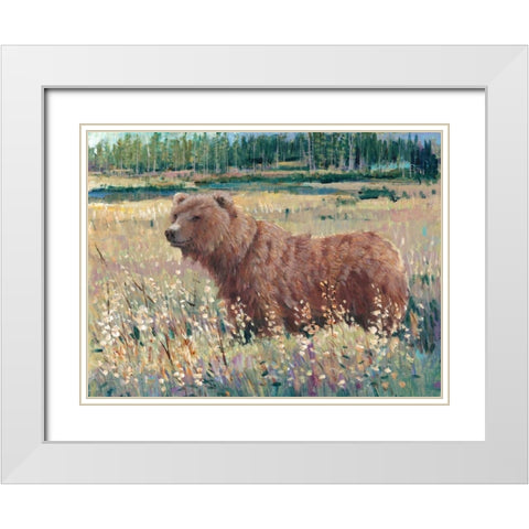 Bear in the Field White Modern Wood Framed Art Print with Double Matting by OToole, Tim