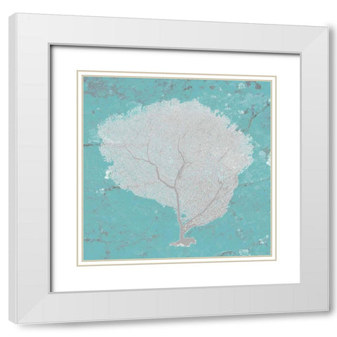 Graphic Sea Fan IX White Modern Wood Framed Art Print with Double Matting by Studio W