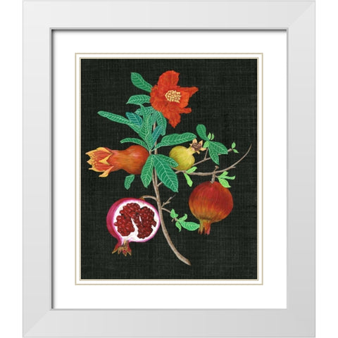 Pomegranate Study II White Modern Wood Framed Art Print with Double Matting by Wang, Melissa