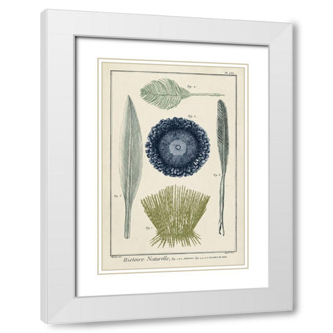 Custom Ocean Oddity II White Modern Wood Framed Art Print with Double Matting by Vision Studio