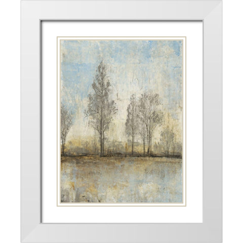 Custom Quiet Nature II White Modern Wood Framed Art Print with Double Matting by OToole, Tim