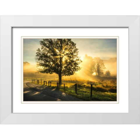 Wake Up Call White Modern Wood Framed Art Print with Double Matting by Head, Danny