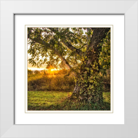 Calling It a Day White Modern Wood Framed Art Print with Double Matting by Head, Danny
