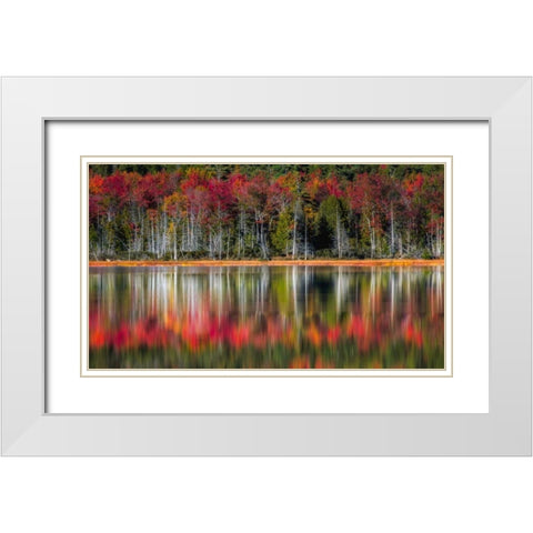 Autumn Reflections White Modern Wood Framed Art Print with Double Matting by Head, Danny