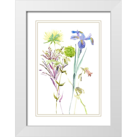 Watercolor Floral Study II White Modern Wood Framed Art Print with Double Matting by Wang, Melissa
