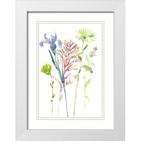 Watercolor Floral Study III White Modern Wood Framed Art Print with Double Matting by Wang, Melissa