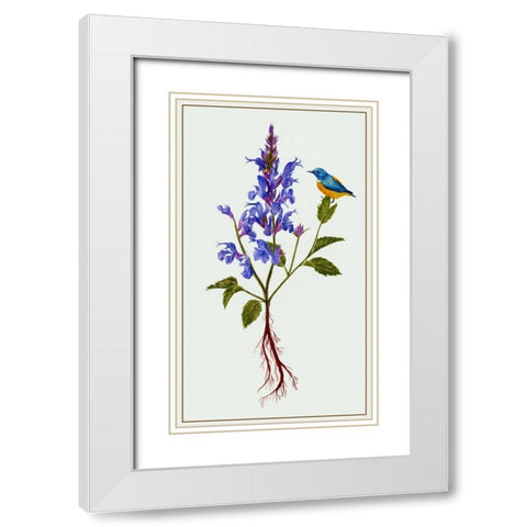 Salvia Miltiorrhiza I White Modern Wood Framed Art Print with Double Matting by Wang, Melissa