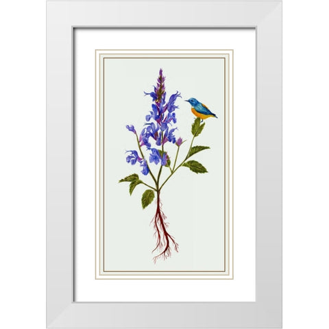 Salvia Miltiorrhiza I White Modern Wood Framed Art Print with Double Matting by Wang, Melissa