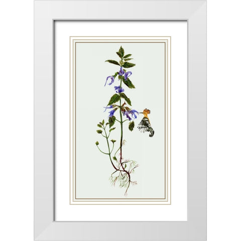 Salvia Miltiorrhiza II White Modern Wood Framed Art Print with Double Matting by Wang, Melissa