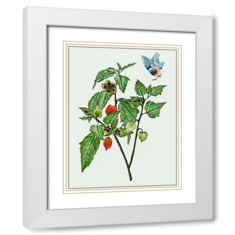 Cape Gooseberry I White Modern Wood Framed Art Print with Double Matting by Wang, Melissa