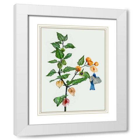 Cape Gooseberry II White Modern Wood Framed Art Print with Double Matting by Wang, Melissa