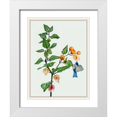 Cape Gooseberry II White Modern Wood Framed Art Print with Double Matting by Wang, Melissa