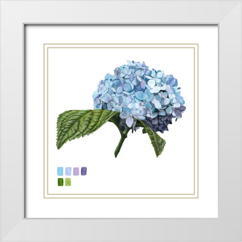 Brighton Blooms I White Modern Wood Framed Art Print with Double Matting by McCavitt, Naomi
