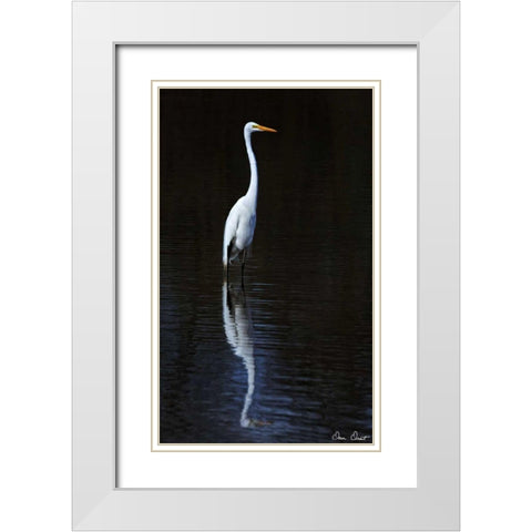 Elegant Egret II White Modern Wood Framed Art Print with Double Matting by Drost, David