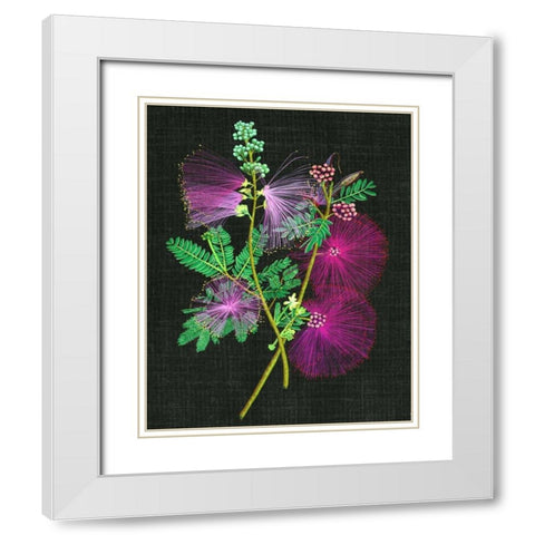 Calliandra Surinamensis I White Modern Wood Framed Art Print with Double Matting by Wang, Melissa