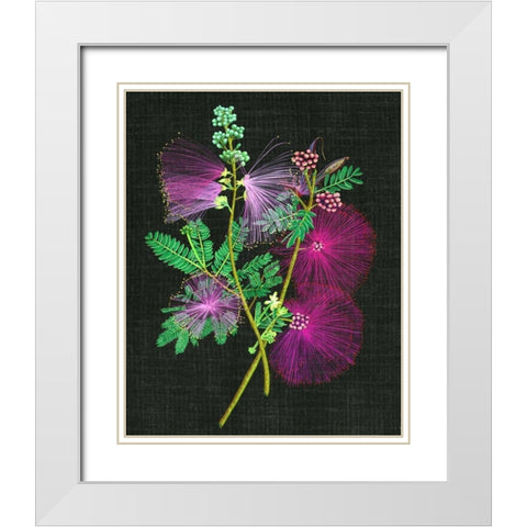 Calliandra Surinamensis I White Modern Wood Framed Art Print with Double Matting by Wang, Melissa