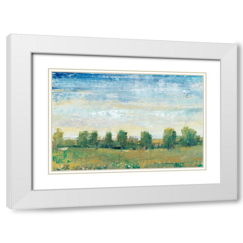 Splendor in Spring II White Modern Wood Framed Art Print with Double Matting by OToole, Tim